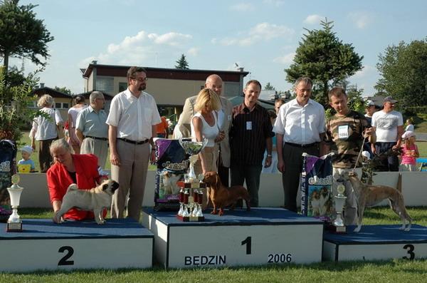 II KRAJOWA WYSTAWA PSÓW RASOWYCH - Będzin, śląskie