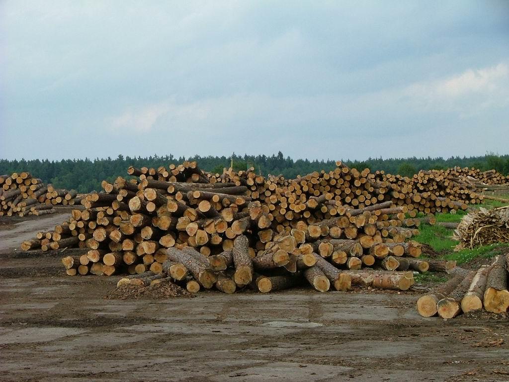 Zakład drzewny zaprasza!, Nidzica, warmińsko-mazurskie