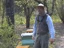 Mistrz pszczelarstwa zaprasza! Pasieka!, Pasłęk, warmińsko-mazurskie