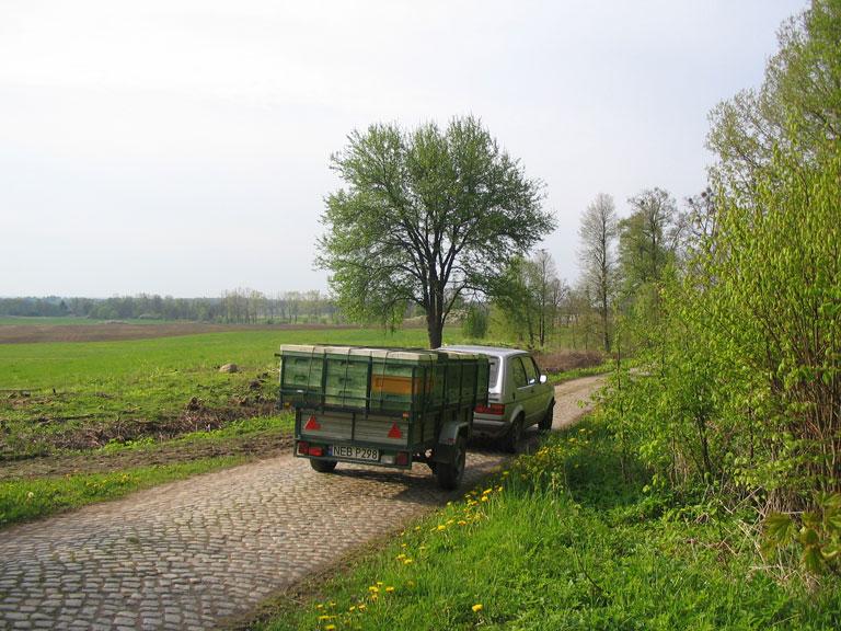 Mistrz pszczelarstwa zaprasza! Pasieka!, Pasłęk, warmińsko-mazurskie