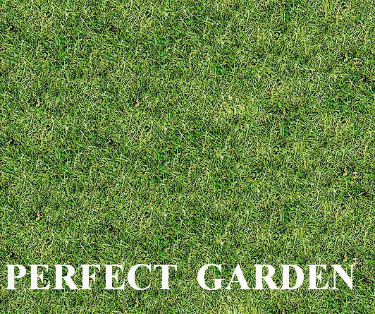 PERFECT GARDEN - zakł. trawników SZYBKI EFEKT!!, Warszawa, mazowieckie