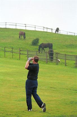 BINOWO PARK Golf Club, Stare Czarnowo, zachodniopomorskie