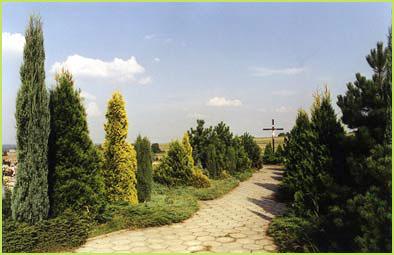 Aranżacja terenów zielonych,projekty i wykonanie, Rogoźnik , śląskie