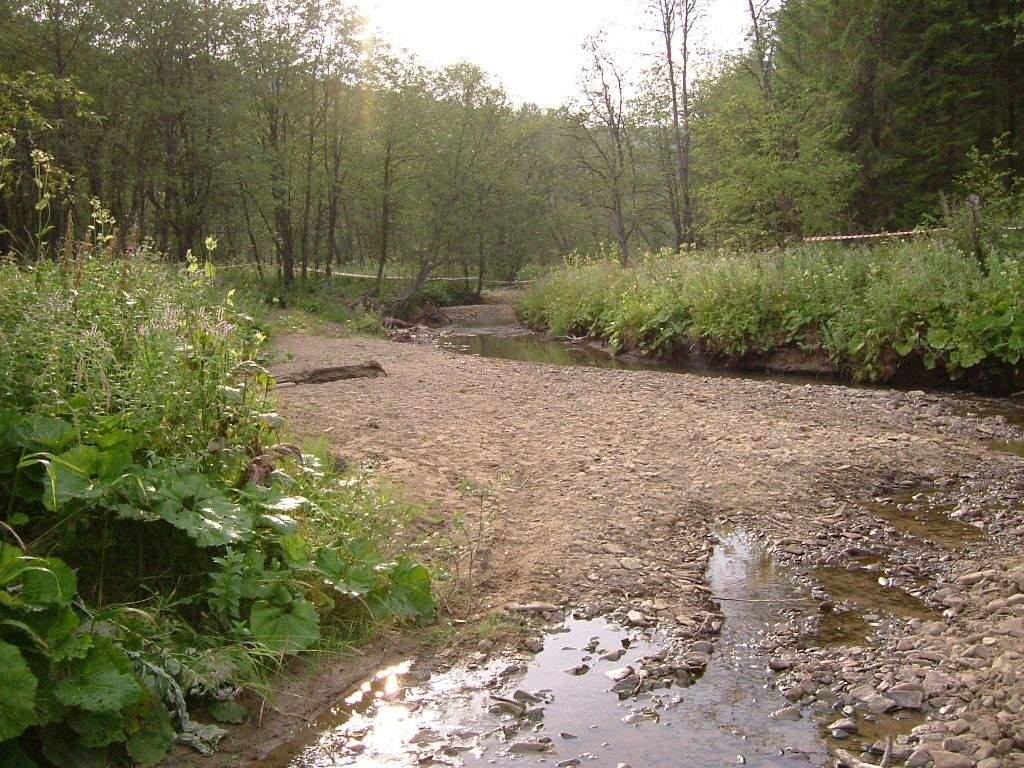 Przeżyj i przetrwaj najlepszy SURVIVAL , Krosno, podkarpackie