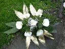 Firma Pogrzebowa Calia Rozanscy Kwiaty , Czeladź, śląskie