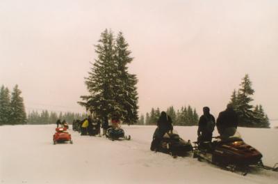 SKUTERY ŚNIEŻNE - nauka jazdy, eskapady, kuligi, Zakopane, małopolskie