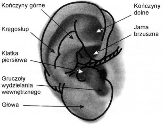 Oduczanie palenia, porażenie nerwu trójdzielnego, Lublin, lubelskie