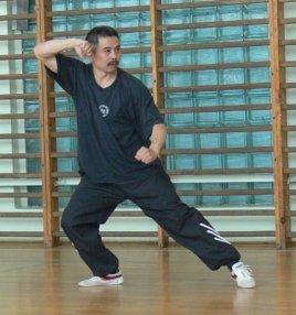 Rzeszowska Szkoła Sztuk Walki - Chen Taijiquan, Rzeszów, podkarpackie