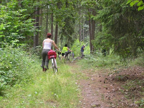 Agrowypoczynek na Mazurach,spokój,cisza., Kruklanki kGiżycka, warmińsko-mazurskie