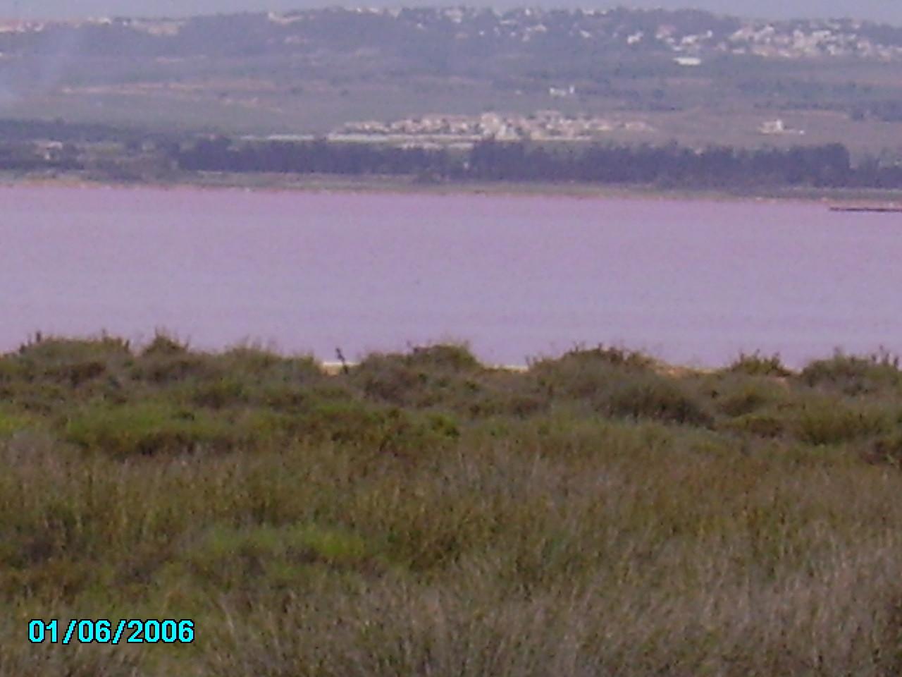 laguna solna w Torrevieja