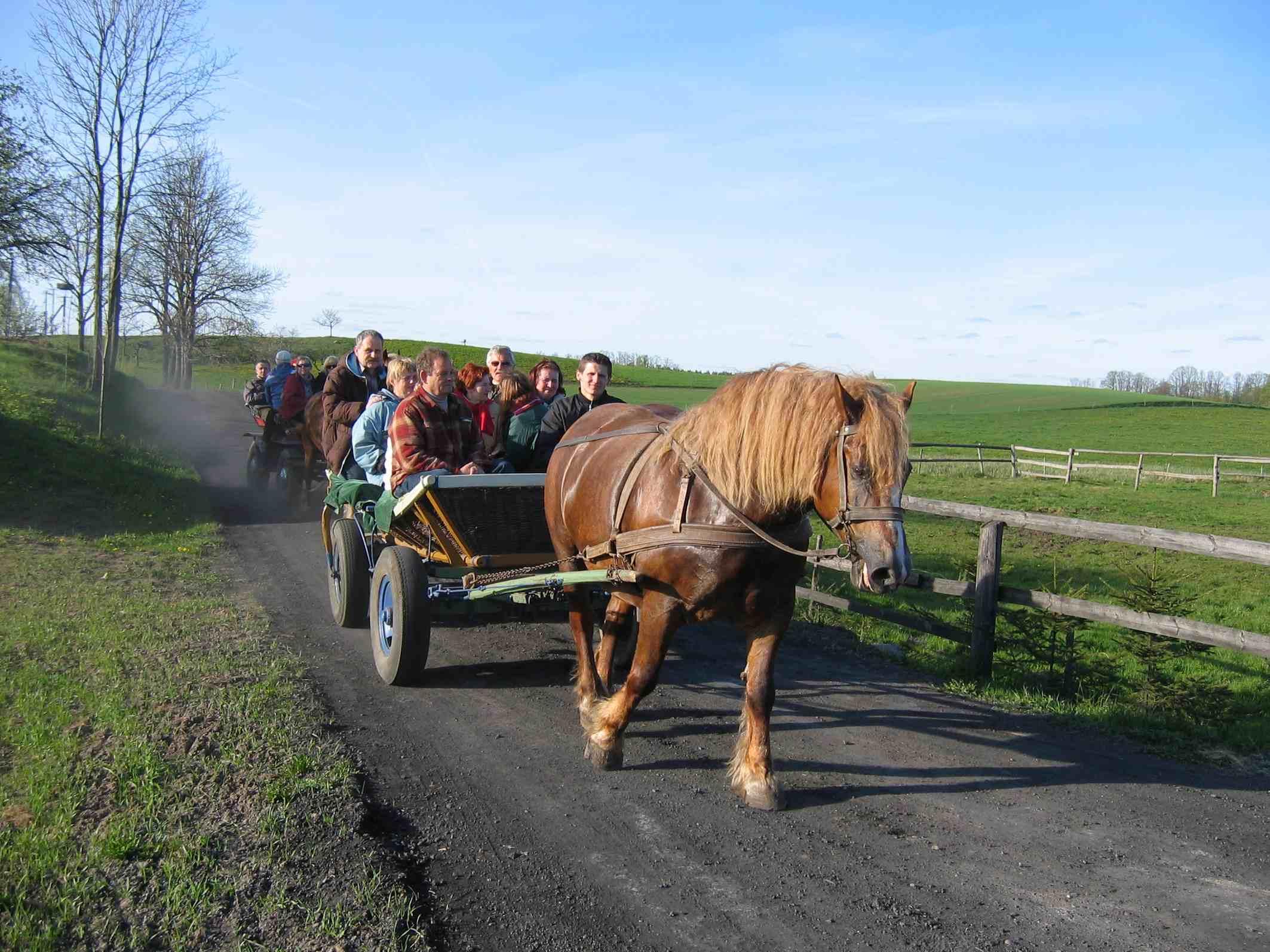 BRYCZKA DO ŚLUBU, Kuligi Podlaskie - Augustów, Augustwów , podlaskie