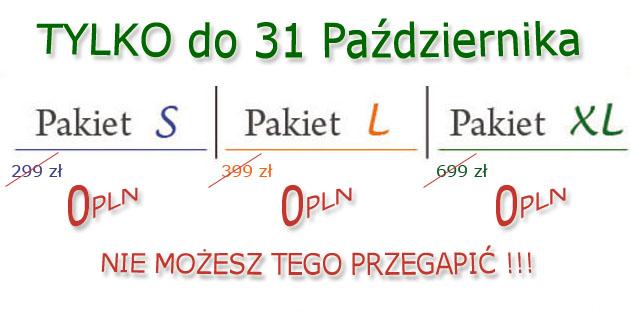 tylko teraz 0,00zł i to przez cały rok, TYLKO dla firm, które zarejestrują się do 31.10.2008r.