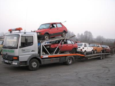 TRANSPORT DREWNA, HANDEL DREWNEM, Trzciel, lubuskie