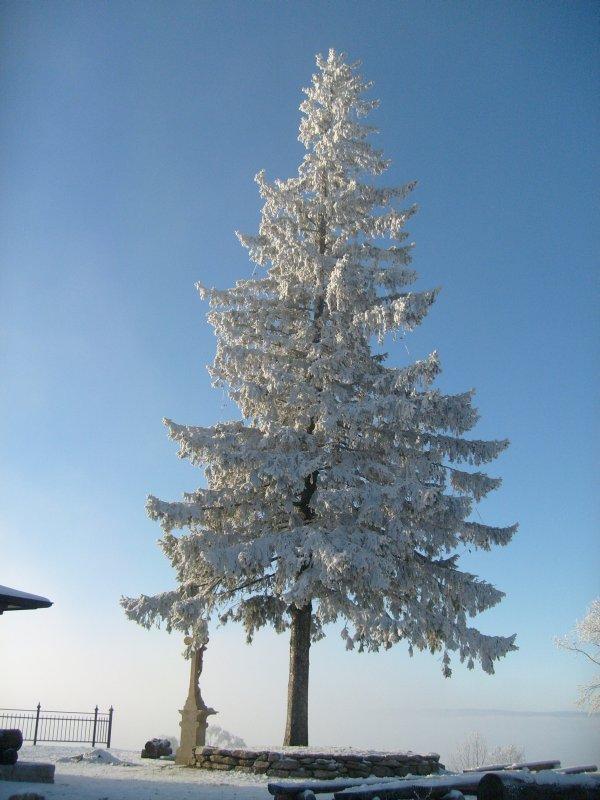 Pobliska Maria Śnieżna zimą