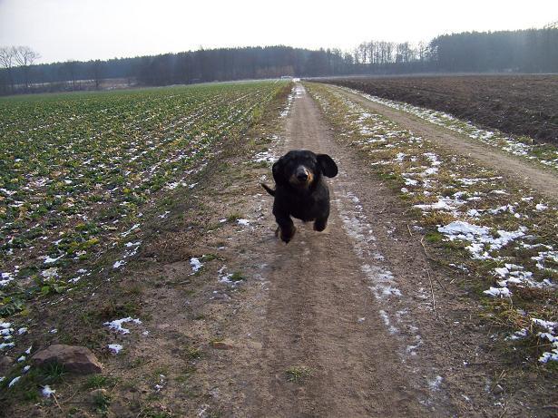 DO ODDANIA W DOBRE RECE JAMNIK CZARUS , PILA, wielkopolskie