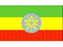Język etiopski!!! najtaniej!!!, cała Polska