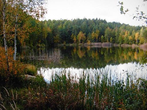 Pod Laskiem, Lubań, dolnośląskie