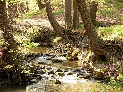 Pod Laskiem, Lubań, dolnośląskie