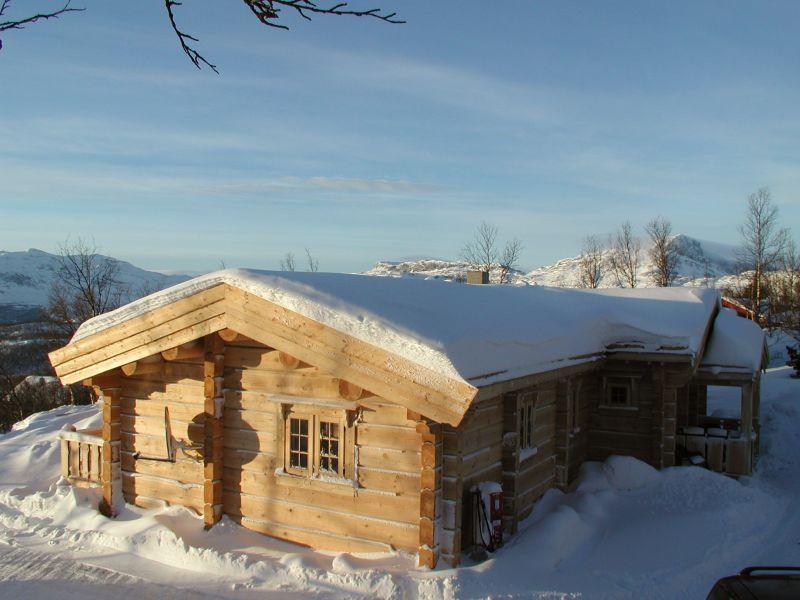 Drewniane domy wykonane norweską technologią