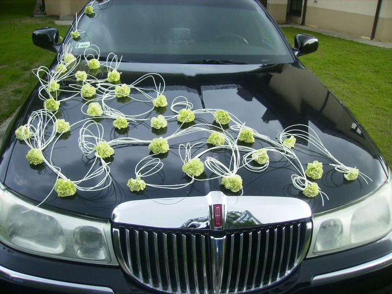www.trans-limo.pl