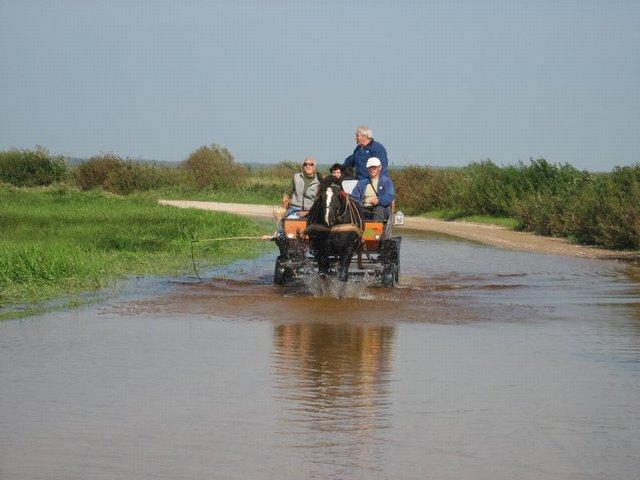 Agroturystyka nad Biebrzą ,Biebrzańska Ostoja,, Dolistowo, podlaskie