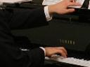 Lekcje muzyki  -  fortepian, organy