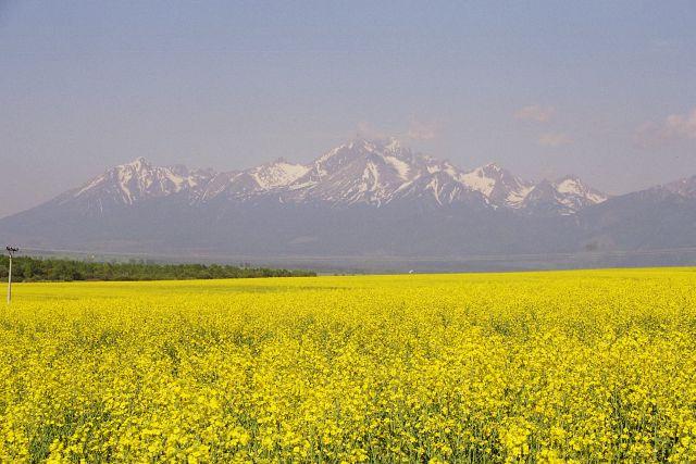 PIWNICZNA - Wiosna - cisza - cudowny spokój., Piwniczna Zdrój, małopolskie