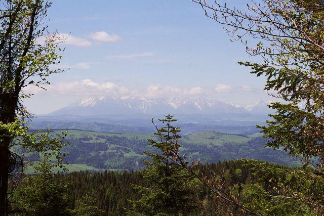 PIWNICZNA - Wiosna - cisza - cudowny spokój., Piwniczna Zdrój, małopolskie