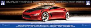 BIURO RZECZOZNAWCY SAMOCHODOWEGO AUTO-CONSULTING