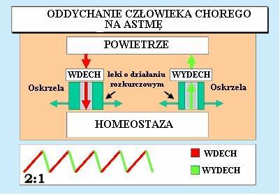 BIOFEEDBACK EEG, EMG, RSA, WROCŁAW, dolnośląskie