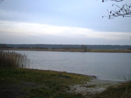 Sprzedam działkę nad jeziorem i pzry lesie , Wójcin  os nad jeziorem, kujawsko-pomorskie