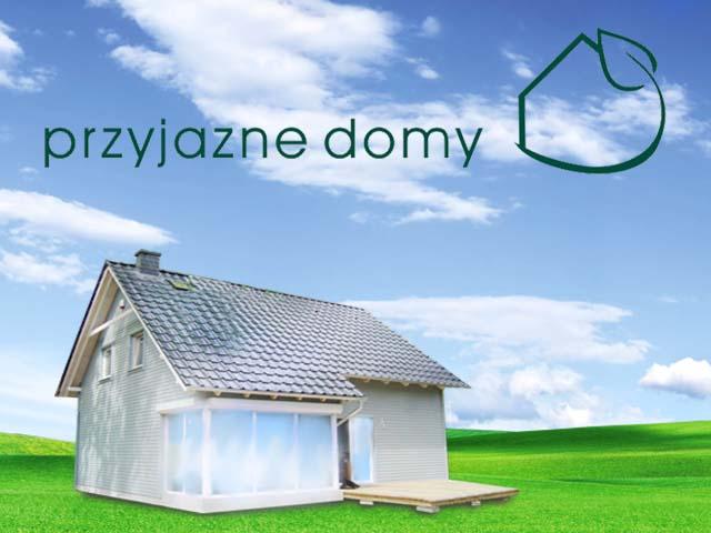 Dzięcioł - letniskowy