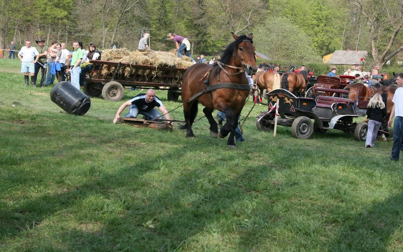 Agroturystyka, Ostrzyce, pomorskie