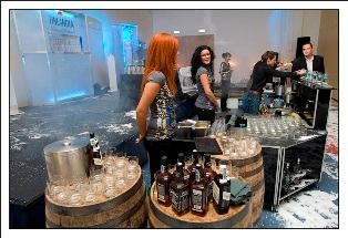 Bar Catering- ice party