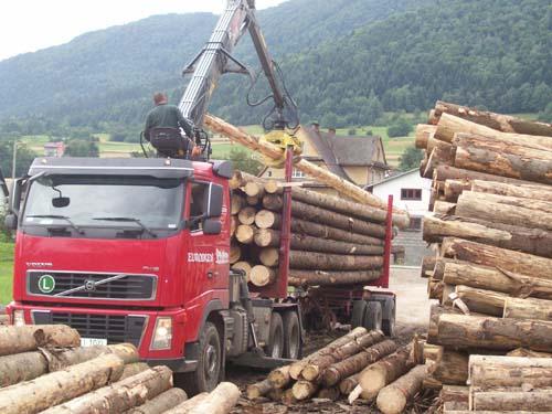 Firma DrewMar usługi tartaczne, Kasinka Mała, małopolskie