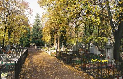 Opieka nad grobami Śląsk.Czyszczenie nagrobków., Katowice, śląskie