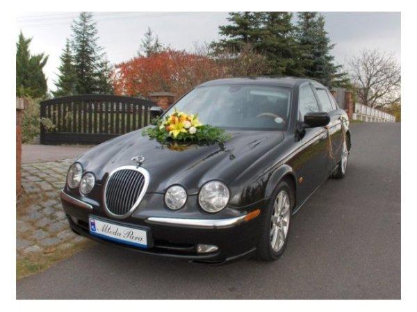 Jaguar S Type śluby i inne uroczystości, Opole, opolskie