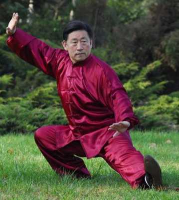 Zajęcia Taijiquan (Tai Chi) tradycyjny styl Chen, Rzeszów, podkarpackie