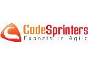 Code Sprinters. Experts in Agile., Kraków, małopolskie