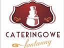Logo - Cateringowe Fontanny