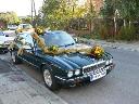 Jaguarem do ślubu
