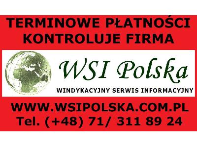 Terminowe płatności kontroluje firma WSI Polska Windykacyjny Serwis Informacyjny - kliknij, aby powiększyć