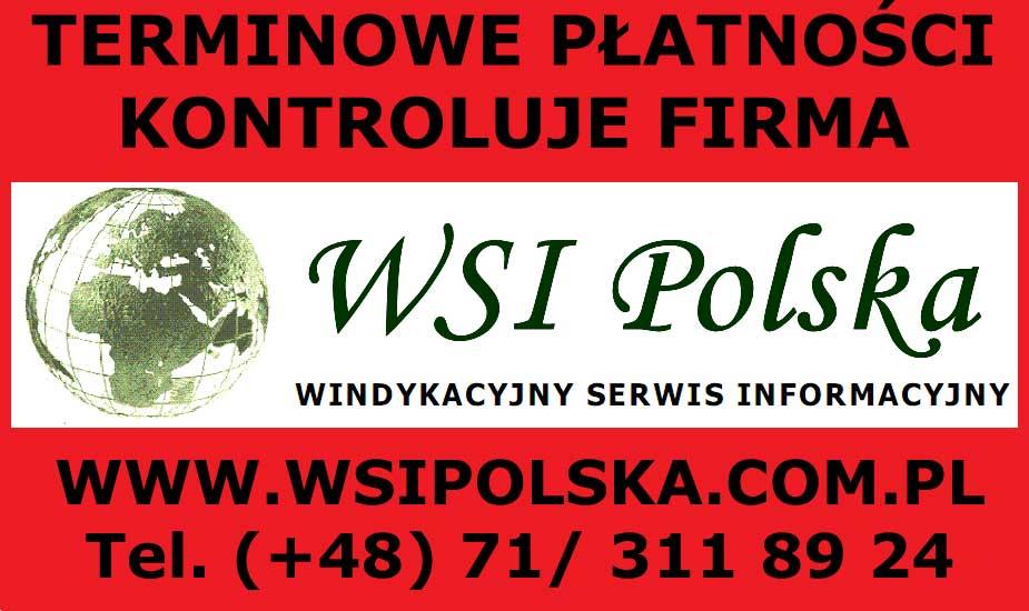 Terminowe płatności kontroluje firma WSI Polska Windykacyjny Serwis Informacyjny