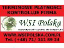 Terminowe płatności kontroluje firma WSI Polska Windykacyjny Serwis Informacyjny
