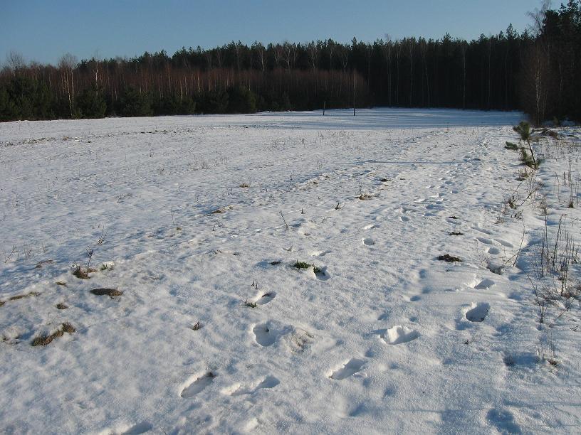 Atrakcyjna działka na Mazurach, Rydzewo gm Miłki, warmińsko-mazurskie