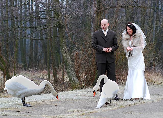 fotoreportaż ślubny tomaszów maz