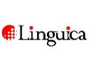 Kursy językowe dla firm i instytucji