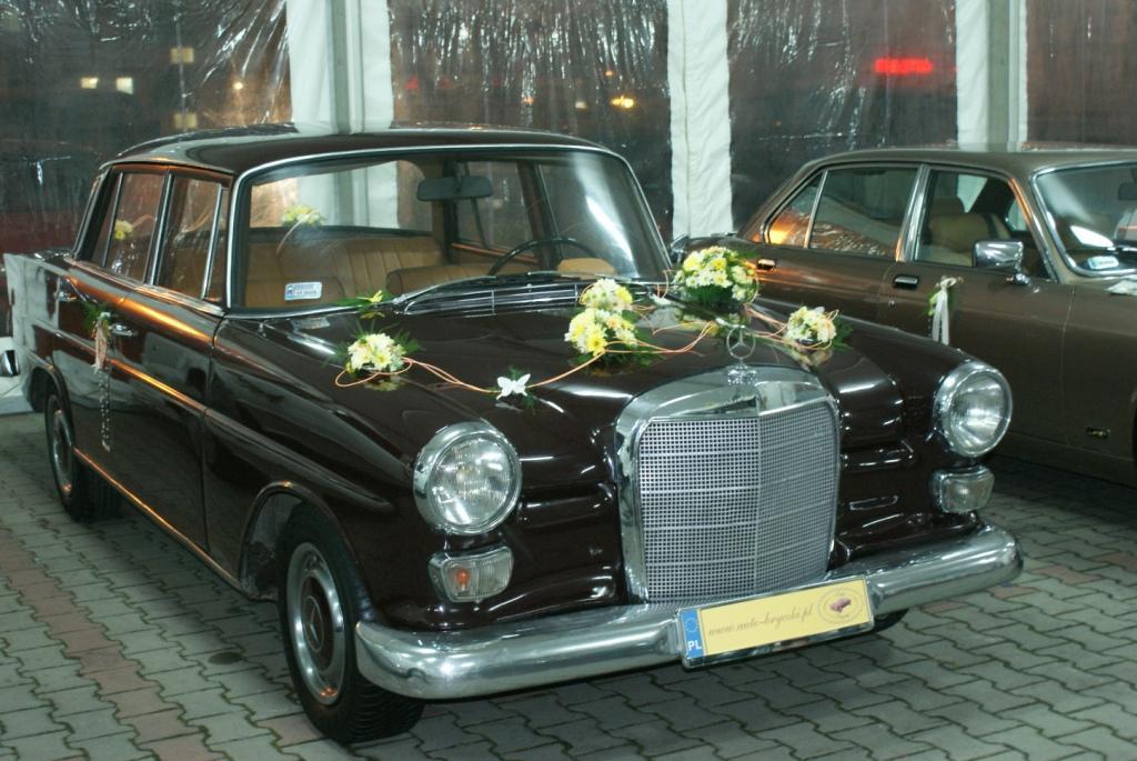 www.auto-bryczki.pl                           507400 115                 512 188 723