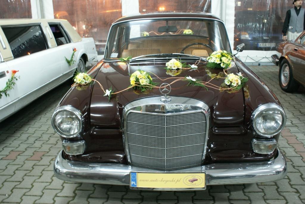 www.auto-bryczki.pl                           507400 115                 512 188 723