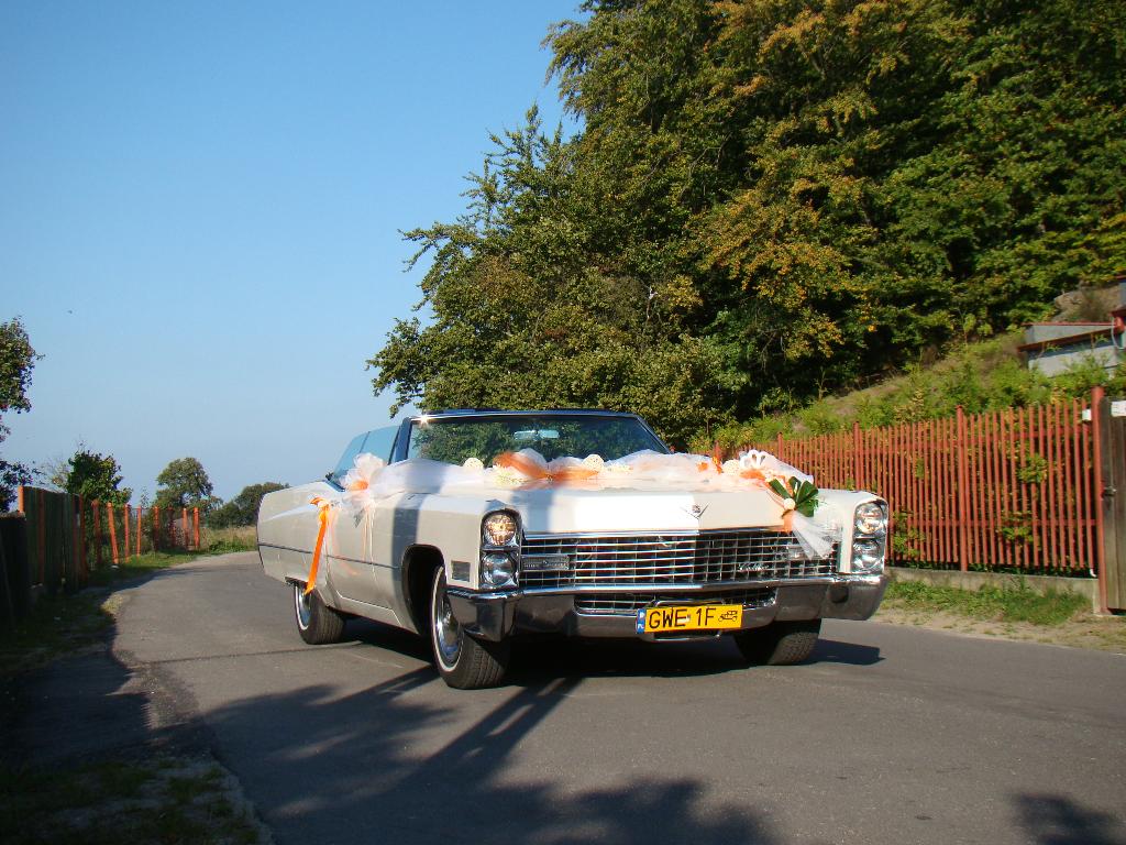 Cadillac4you Auto na Ślub i nie tylko, Władysławow   Gdańsk okolice, pomorskie